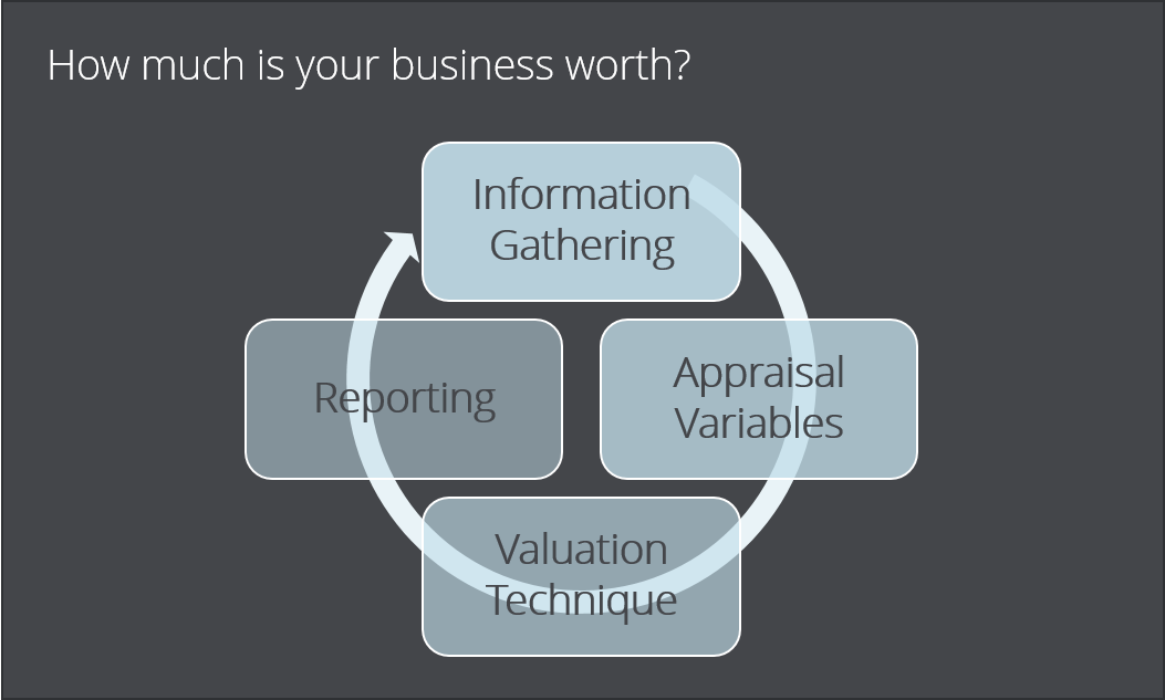 how much is your business worth?  information gathering, appraisal variables, valuation technique, reporting