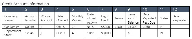 credit account information with details on credit history